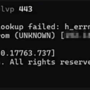 Defeating Windows DEP Using ROP Chains Leveraging VirtualAlloc