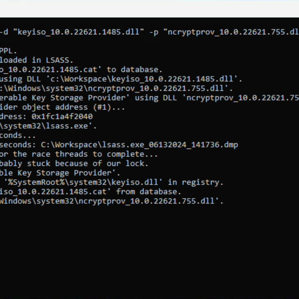 Ghost in the PPL – LSASS Memory Dump