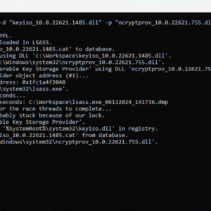 Ghost in the PPL - LSASS Memory Dump