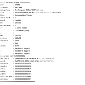 WSL, COM Hooking, & RTTI