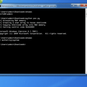 0x00 - Introduction to Windows Kernel Exploitation