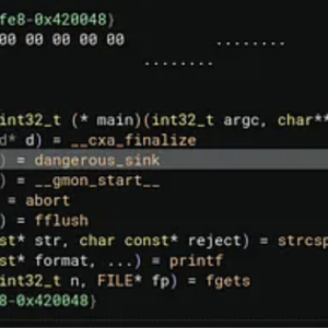 Hidden Bugs in Plain Sight: Hunting Vulnerabilities Inside Shared Libraries