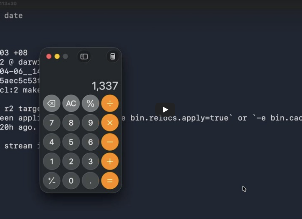 AI vs Reverse Engineering: How Claude Helped Find a radare2 0-Day