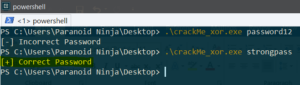 crackMe_xor.exe printing the success message after the correct password is entered