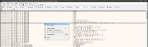 x64dbg String References window for crackMe_xor.exe