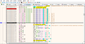 DWORD MOVs from 0x4016A9 to 0x4016EF loading the 10 key bytes into RBP-relative stack slots