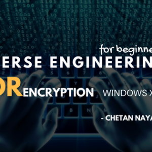 Reverse Engineering For Beginners XOR encryption Windows x64