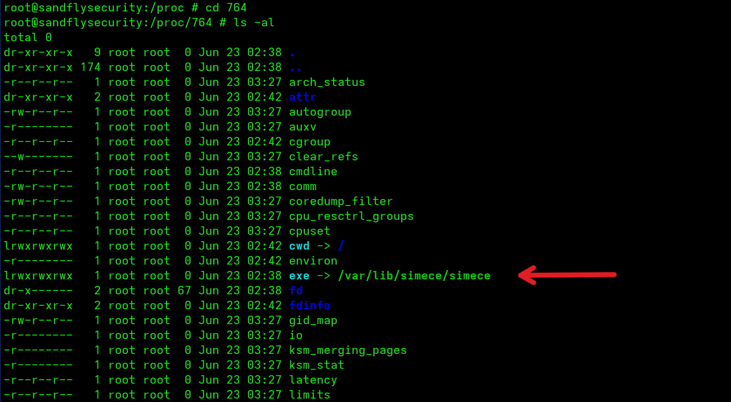 Listing the hidden process /proc directory reveals the exe symlink.