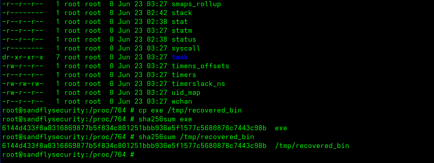 Getting a cryptographic hash from a running Linux malware process.