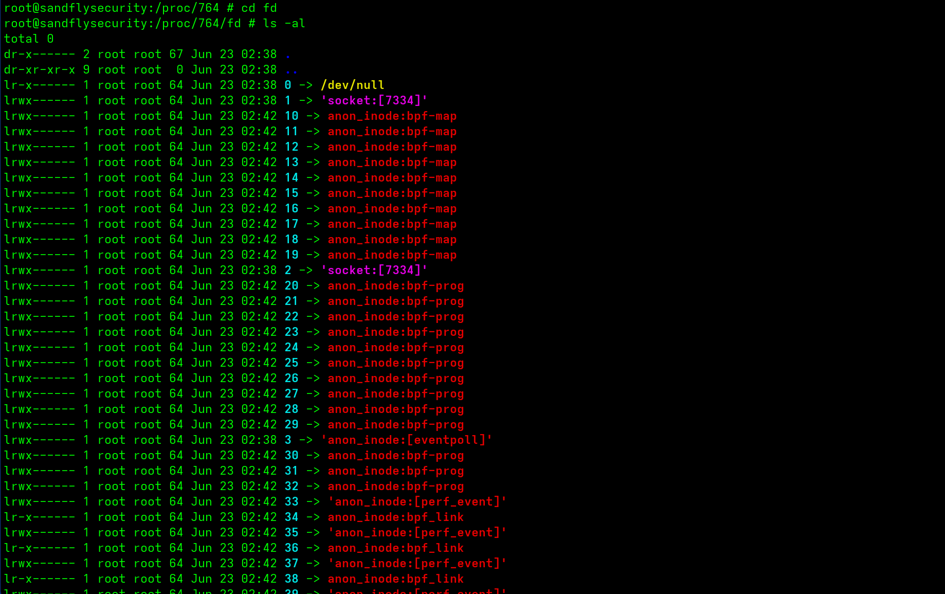 A simple ls listing of /proc/PID/fd shows eBPF involved in process hiding.