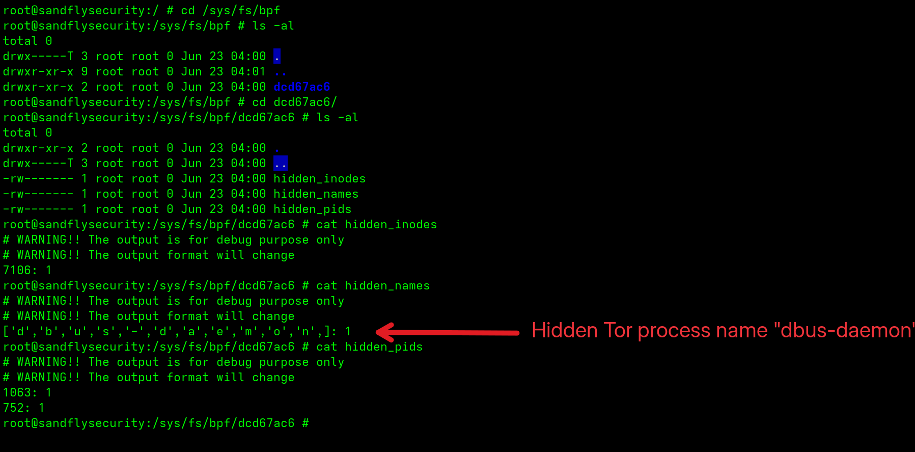 Pinned eBPF programs in /sys/fs/bpf with hidden_pids, hidden_names and hidden_inodes files.