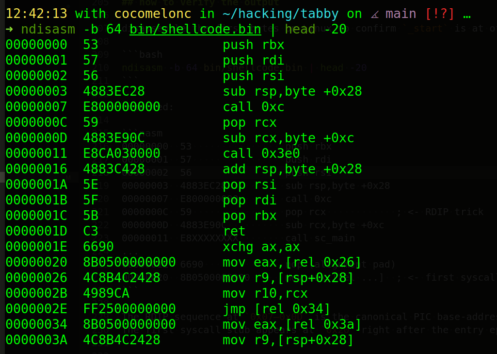 ndisasm output showing _start at offset 0 with RDIP trick
