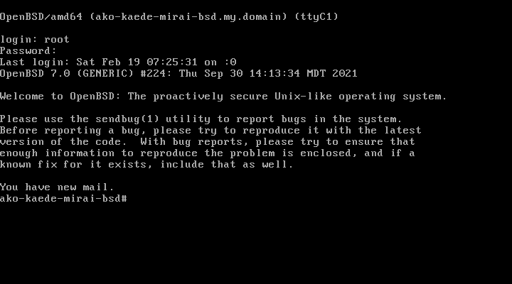 OpenBSD console screenshot