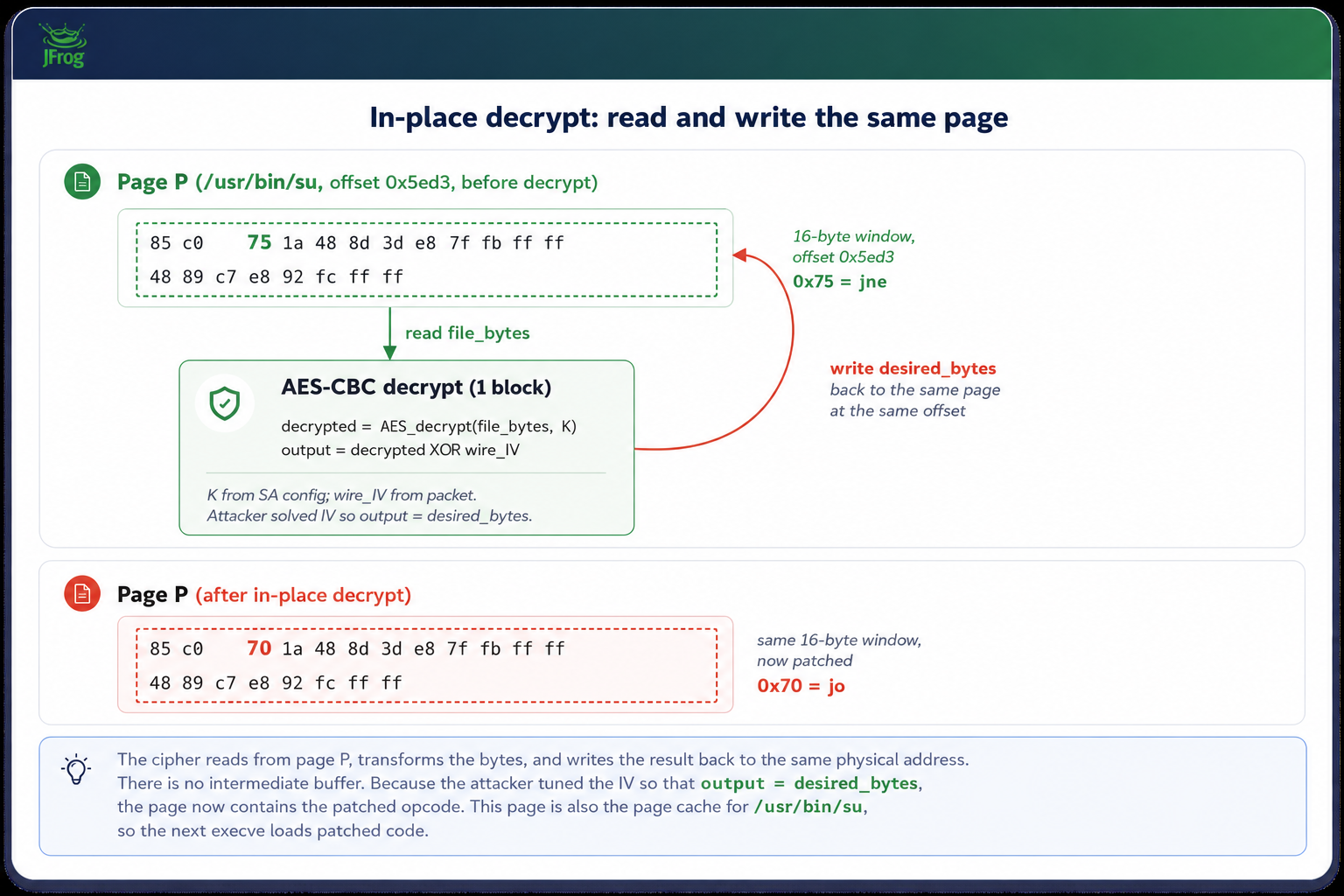 Diagram of IPsec esp_input in-place decryption writing into page-backed skb