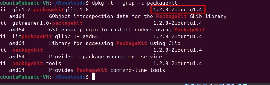 Terminal output of dpkg -l grep packagekit showing PackageKit version 1.2.8