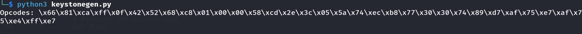 Keystone output — null bytes visible in 0x1C8 encoding