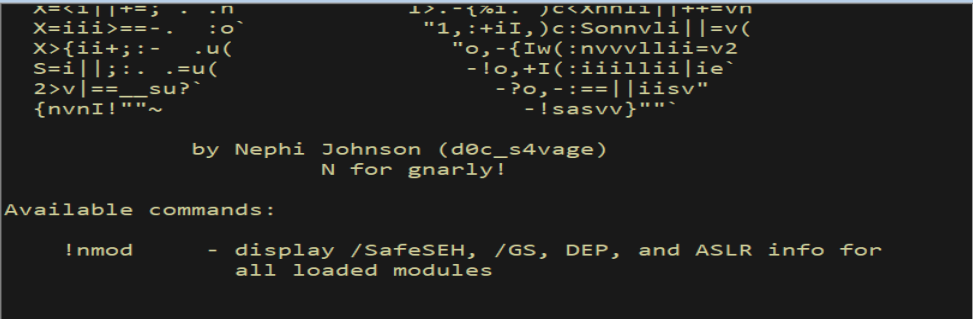Loading narly.dll for module protection analysis