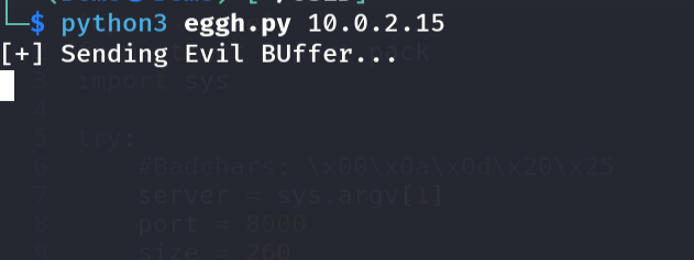 Running exploit to hit the breakpoint