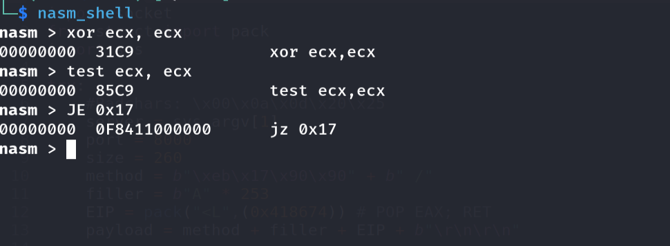nasm_shell — XOR/TEST/JE opcodes; JE rel32 contains four null bytes