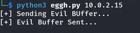 Running egghunter exploit