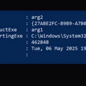 How I Ruined My Vacation by Reverse Engineering WSC