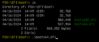 Selecting the USB OS from the boot manager