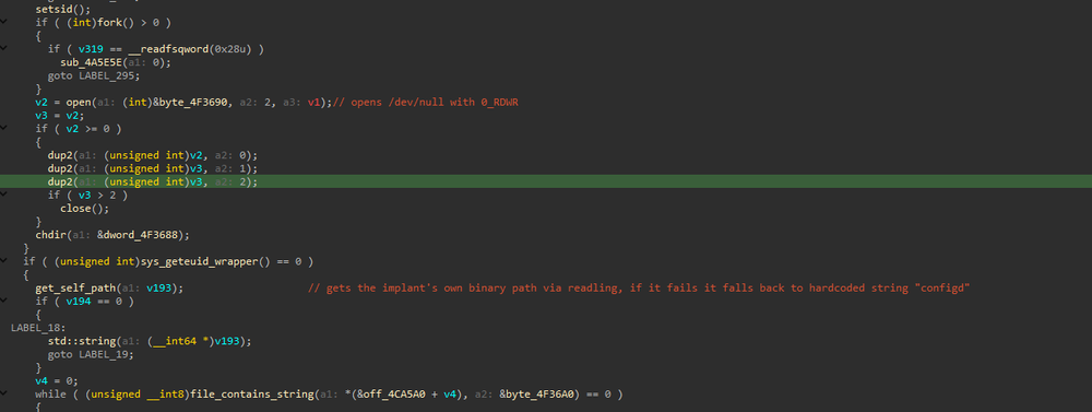 Daemonization and process initialization