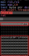Debugger screenshot of the Syscall Execution pass